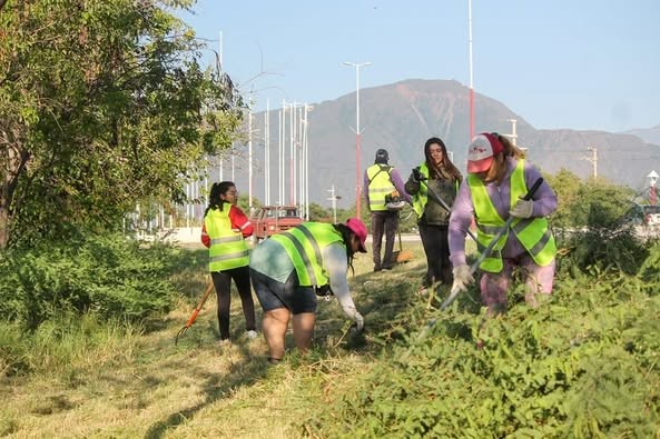 EL MUNICIPIO AVANZÓ CON LAS TAREAS DE LIMPIEZA EN LA AVENIDA FELIX DE LA COLINA 