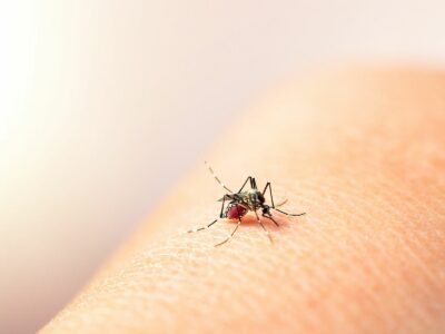 CONFIRMARON EL PRIMER CASO POSITIVO DE DENGUE EN LA PROVINCIA