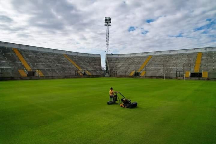 EL ESTADIO 