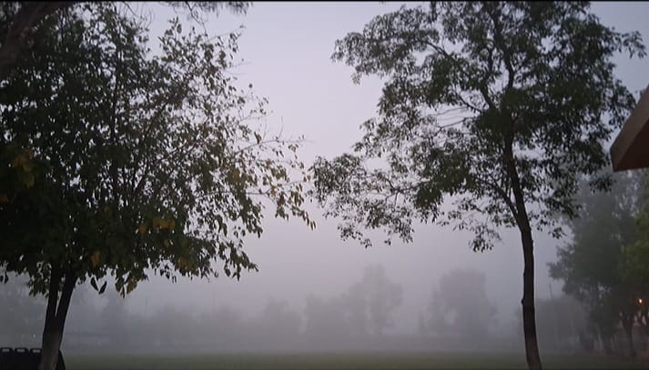 INTENSA NEBLINA SORPRENDIÓ A LOS RIOJANOS