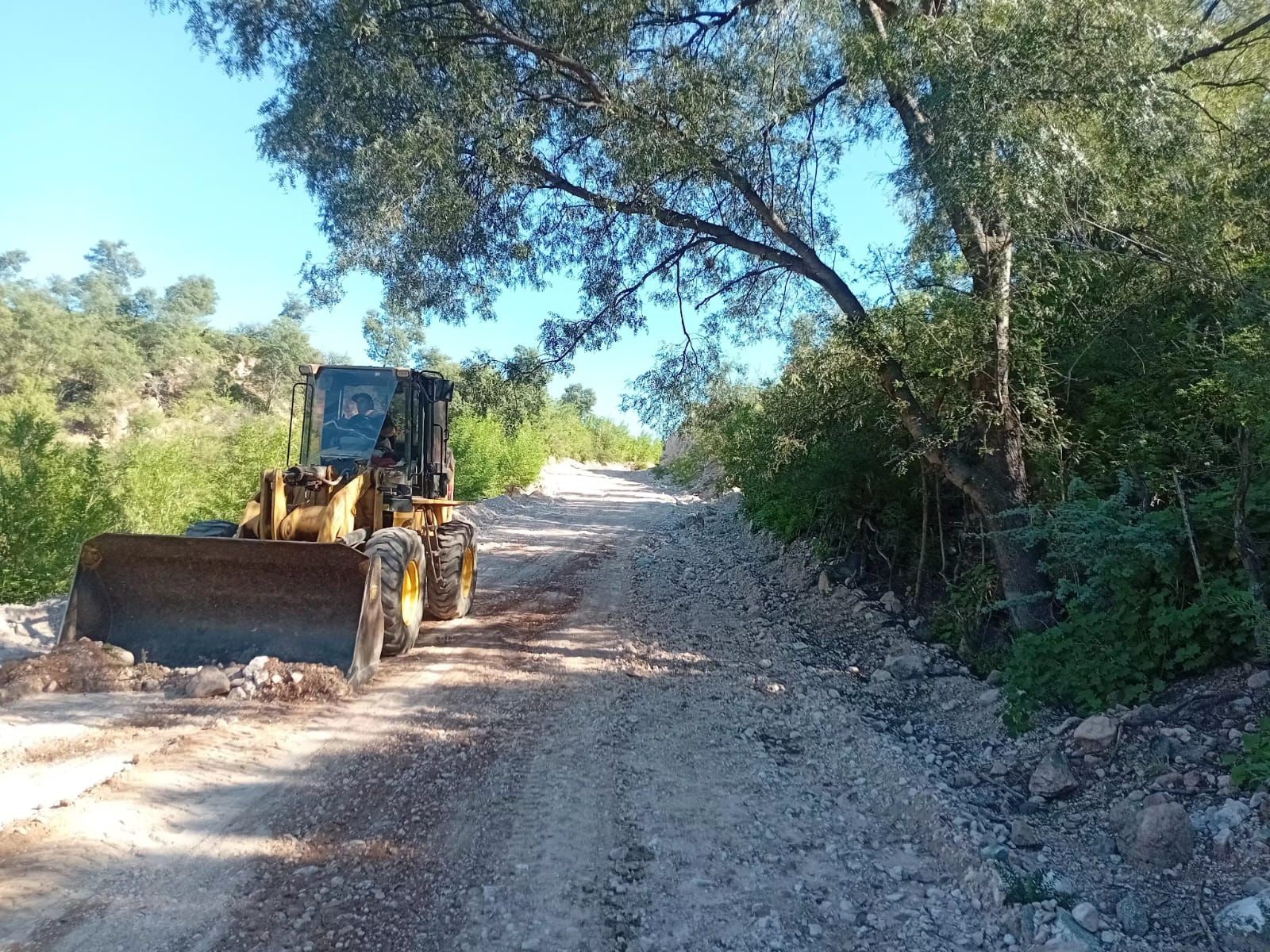 VIALIDAD PROVINCIAL CONTIN&Uacute;A CON TAREAS DE MANTENIMIENTOS EN CAMINOS DE LA PROVINCIA