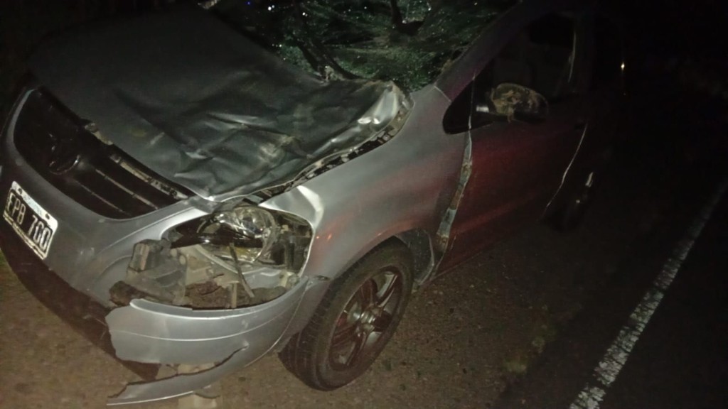 UNA FAMILIA CHOC&Oacute; CON UN BURRO Y SALIERON ILESOS