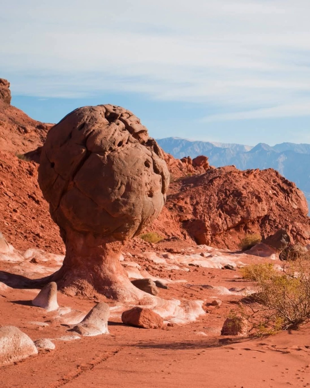 CAPRICHOS DE LA NATURALEZA: LA RIOJA TIENE SU PROPIA COPA DEL MUNDO Y EST&Aacute; EN GUANDACOL