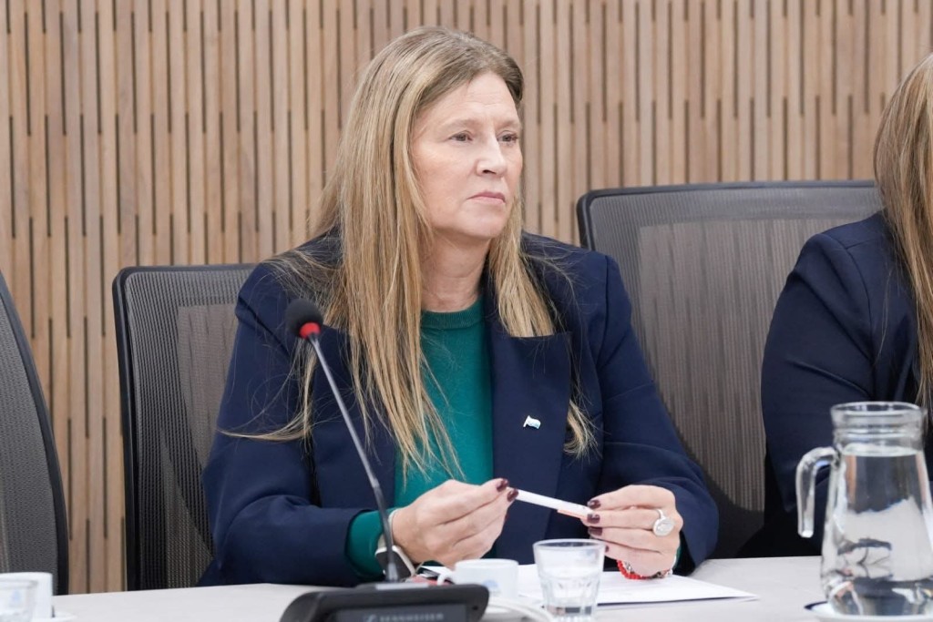 DIPUTADA NACIONAL GABRIELA PEDRALI IMPULSA UN PROYECTO DE TARIFA DIFERENCIADA DE ENERG&Iacute;A PARA EL NORTE GRANDE