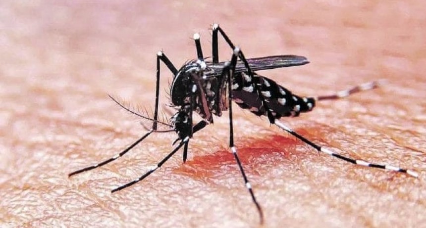 SE REGISTRARON 7 NUEVOS CASOS DE DENGUE