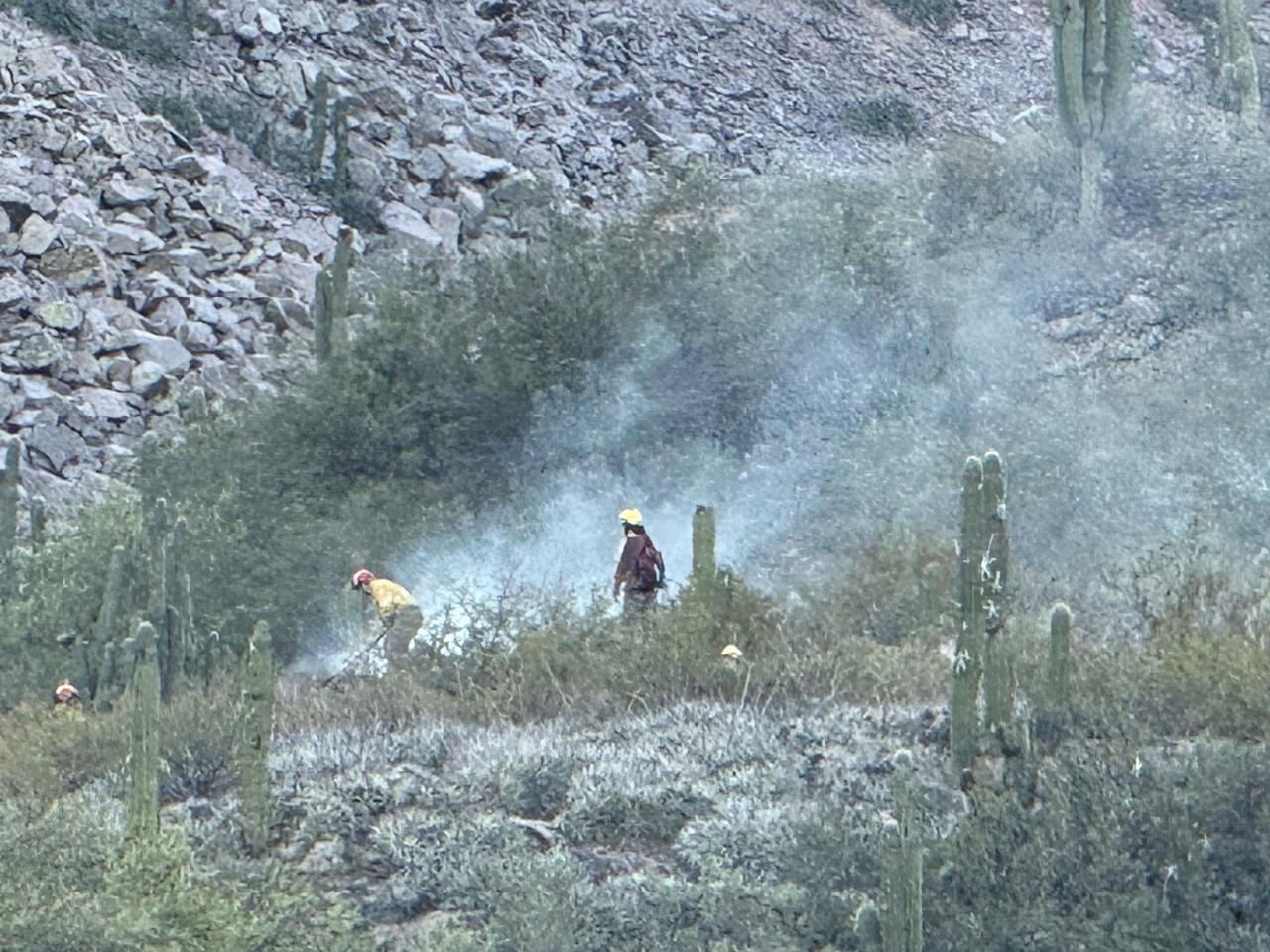 VOLVIERON LOS INCENDIOS: COMBATEN TRES FOCOS ACTIVOS Y SE GENERA GRAN PREOCUPACIÓN 
