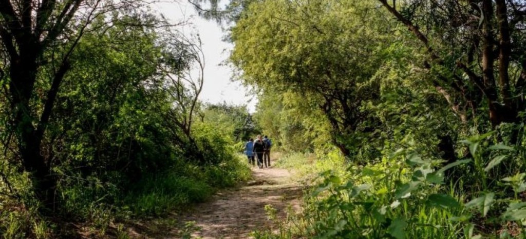 LA RESERVA TAK&Uacute; REALIZAR&Aacute; UNA SALIDA GRATUITA DE AVISTAJE DE AVES EN EL MARCO DEL GLOBAL BIG DAY