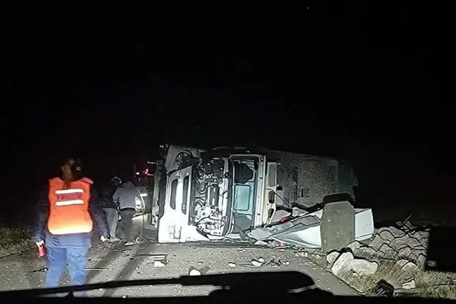 UN CAMI&Oacute;N CHOC&Oacute; CON UN ANIMAL EN RUTA 29 Y VOLC&Oacute;