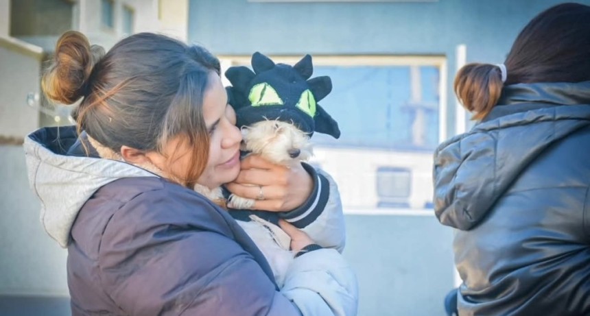 REALIZARON OPERATIVO VETERINARIO GRATUITO EN EL BARRIO FRANCISCO II