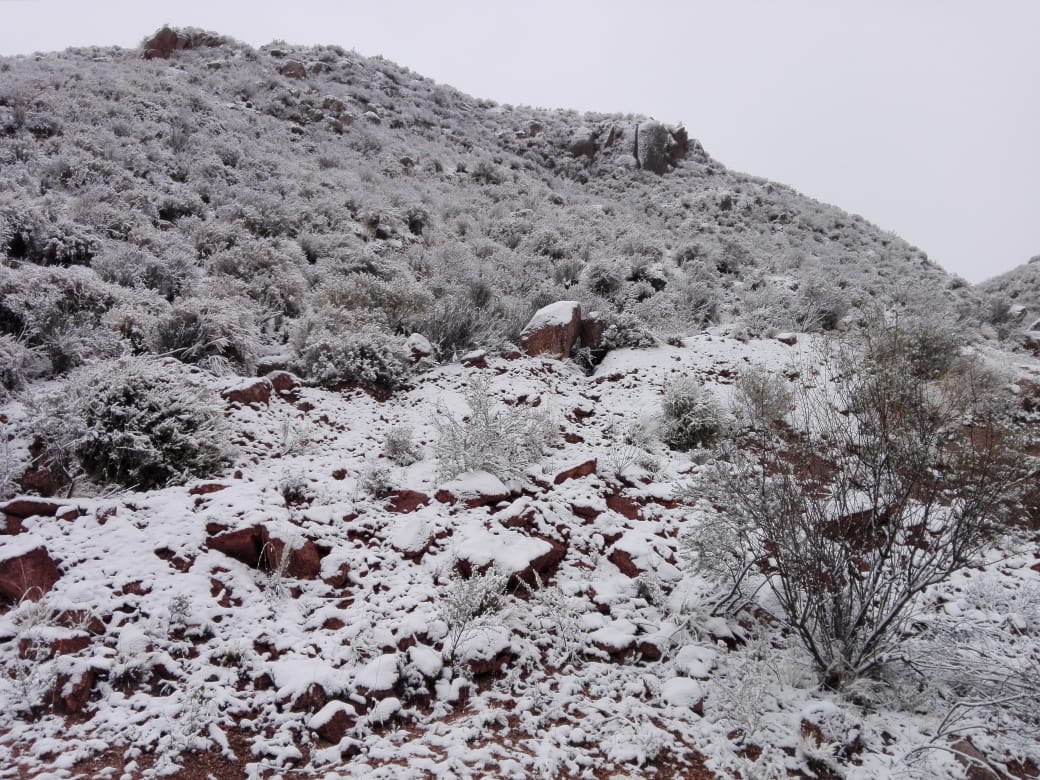 COMENZÓ A NEVAR EN LA ZONA ALTA DE LA PAMPA DE LA VIUDA Y EL ACCESO ESTÁ CORTADO
