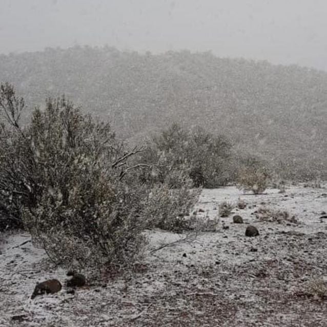  EL GOBIERNO EXPONE LA CAMPAÑA DE INVIERNO PARA TODA LA SOCIEDAD RIOJANA 