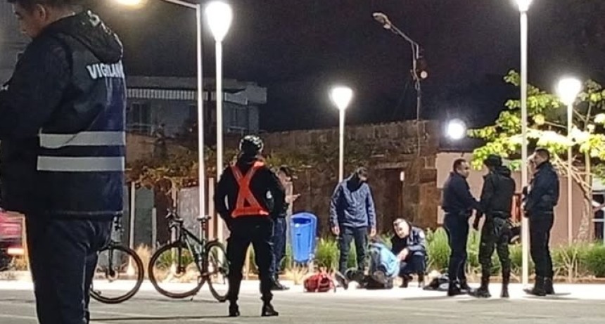DETUVIERON A UN JOVEN TRAS DESTRUIR LA BANDERA ARGENTINA EN LA VIEJA ESTACI&Oacute;N 