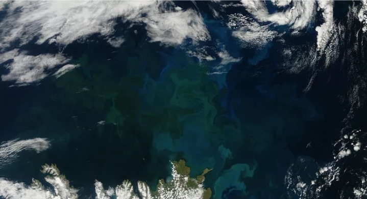 DE AZUL A VERDE: LOS OCÉANOS PODRÍAN ESTAR CAMBIANDO DE COLOR DEBIDO AL CAMBIO CLIMÁTICO.