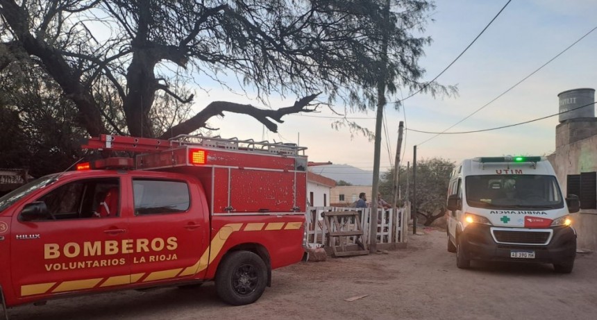 CAYÓ DESDE UN ÁRBOL, SUFRIÓ HERIDAS Y TERMINÓ EN EL HOSPITAL