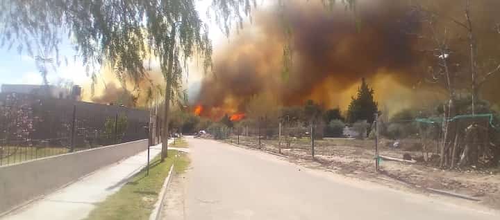 VARIAS DOTACIONES DE BOMBEROS TRABAJAN EN UN INCENDIO FORESTAL EN SAN BLAS DE LOS SAUCES