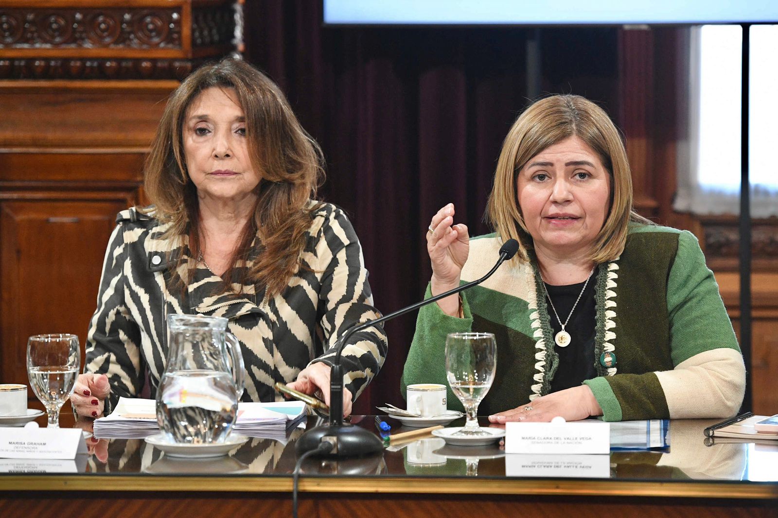 SE PRESENTÓ EL INFORME ANUAL DE LA DEFENSORA DE NIÑAS, NIÑOS Y ADOLESCENTES 