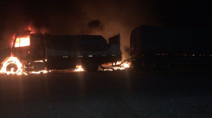 LAS LLAMAS CONSUMIERON UN CAMIÓN EN RUTA N° 5