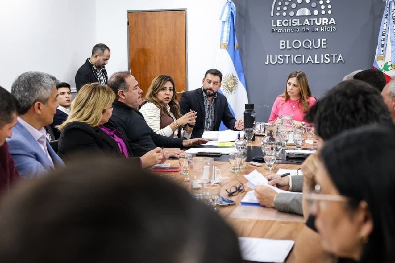 AVANZA EN LA LEGISLATURA PROVINCIAL EL PROYECTO DE LEY DE SEGURIDAD PÚBLICA Y CONVIVENCIA CIUDADANA 