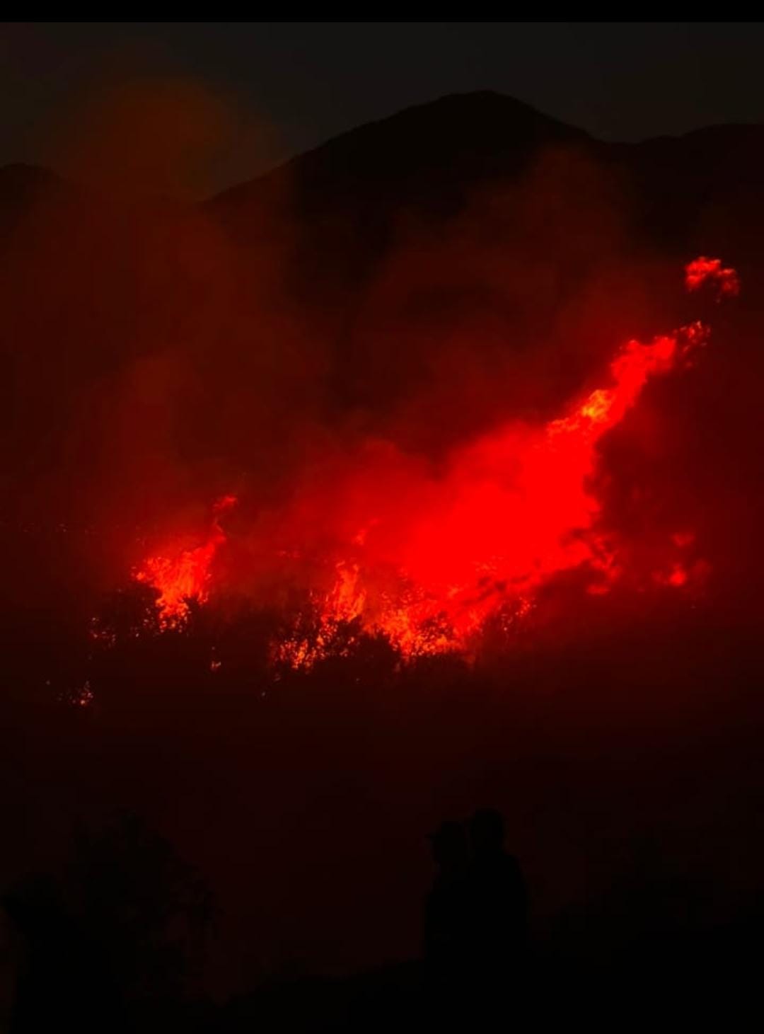 ALERTA EN EL INCENDIO DE GUANCHIN: LA POLICIA Y BOMBEROS TRABAJAN PARA PROTEGER VIVIENDAS Y FINCAS