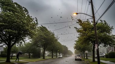 AVANZAN LAS ACCIONES PREVENTIVAS ANTE EL FEN&Oacute;MENO DE 