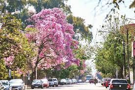 LA PRIMAVERA LLEGA CON TEMPERATURAS MUY ELEVADAS PARA EL NORTE DEL PAIS