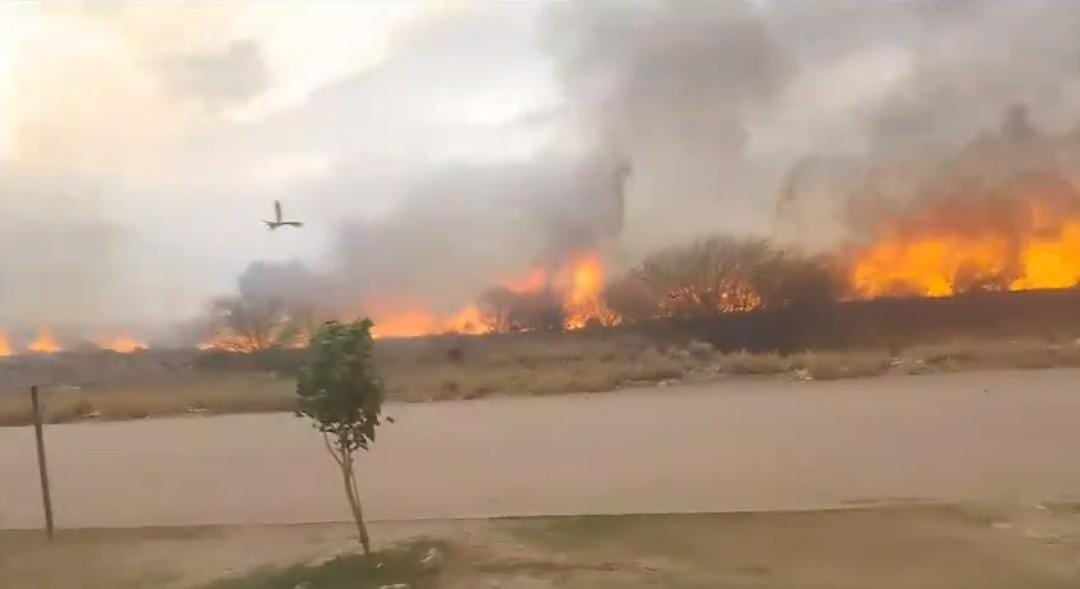 Incendio forestal de importante magnitud en el sur de la ciudad