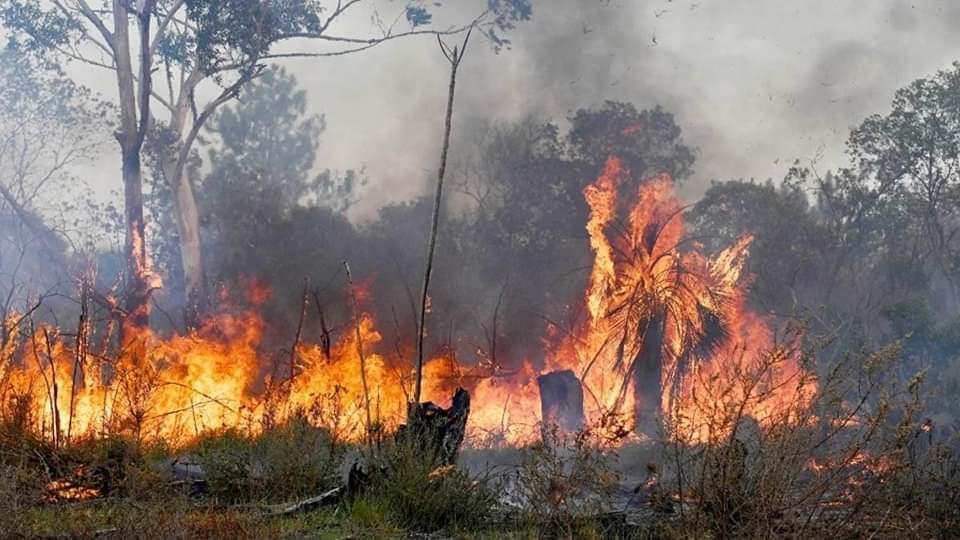 GRAVES CONSECUENCIAS: EL HUMO AVANZA POR TODA SUDAMÉRICA 