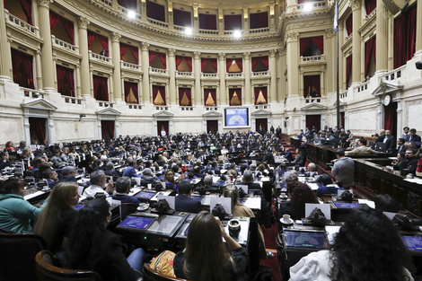 DIPUTADOS RECHAZARON LOS VETOS A LAS LEYES DEL GARRAHAN Y UNIVERSIDADES
