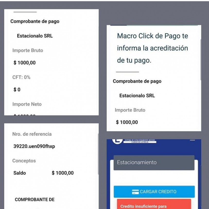ESTACIONALO: SOLUCIÓN O ESTAFA PARA LOS VECINOS CAPITALINOS 