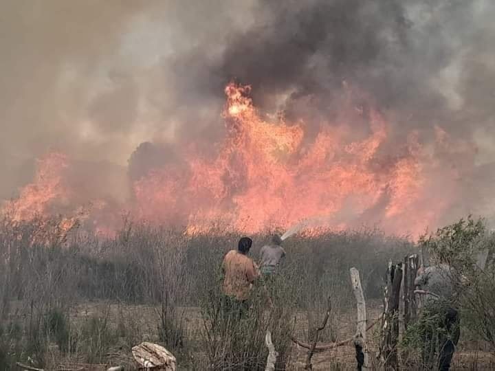 CONTROLARON UN INCENDIO DE MAGNITUD EN VILLA UNION