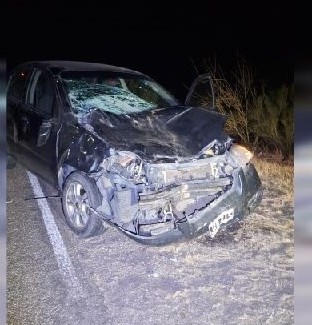 UN AUTOMÓVIL QUEDÓ DESTRUIDO TRAS IMPACTAR CON UNA VACA EN RUTA 9