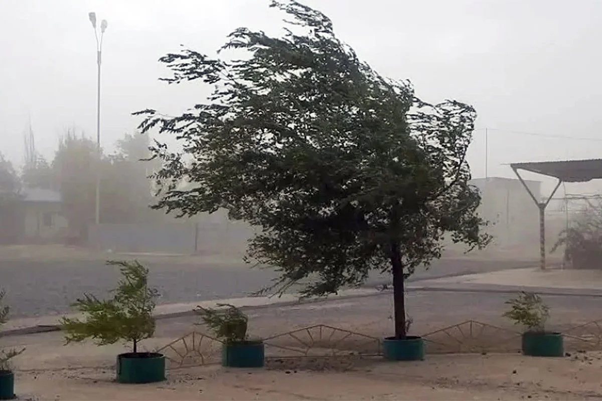 ALERTA AMARILLA POR TORMENTAS Y VIENTOS EN LA PROVINCIA