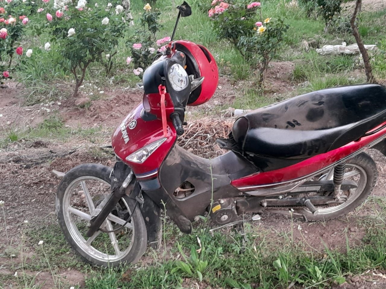 UNA ADOLESCENTE MURIÓ EN CHILECITO POR UN SINIESTRO VIAL