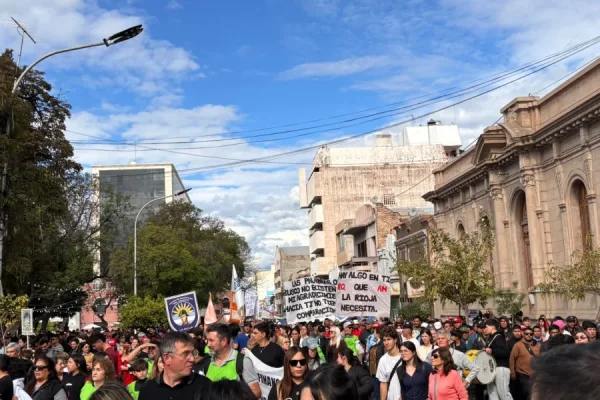 LA UNLAR Y UTN SALIERON A RECLAMAR EN LA PLAZA: 