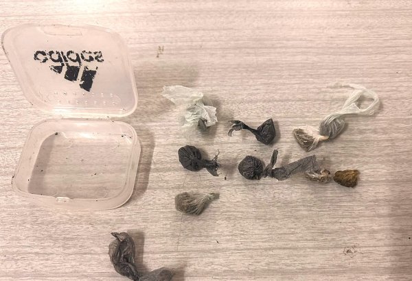 PREOCUPACI&Oacute;N EN ANGUIN&Aacute;N POR EL INGRESO DE MARIHUANA A UNA ESCUELA SECUNDARIA: HALLARON NUEVE ENVOLTORIOS EN LA MOCHILA DE UN ALUMNO