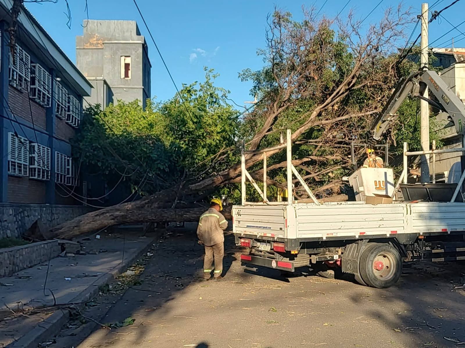 EL COMITÉ DE EMERGENCIAS TRABAJA PARA RESTABLECER SERVICIOS TRAS EL FUERTE VIENTO