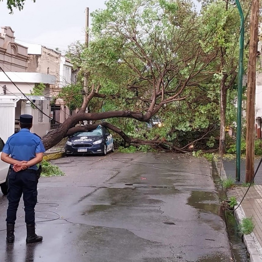 UNA DESGRACIA CON SUERTE: UNA MUJER FUE APLASTADA POR UN ÁRBOL
