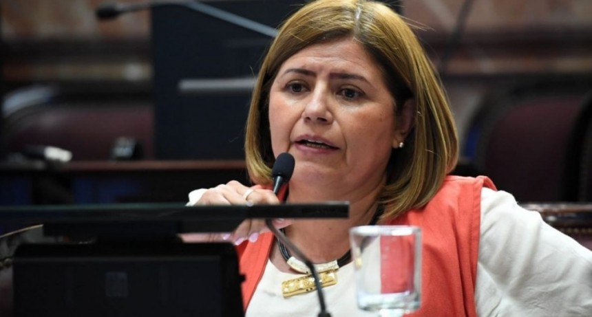 CLARA VEGA DIJO QUE BUSCARÁ RENOVAR SU BANCA EN EL SENADO 